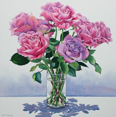 Avalanche Roses by Christopher Ryland